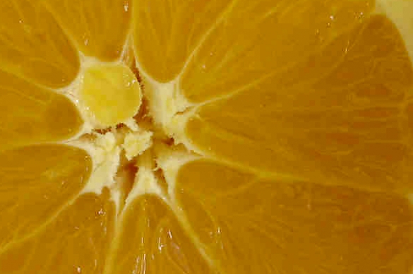Photo of an orange slice
